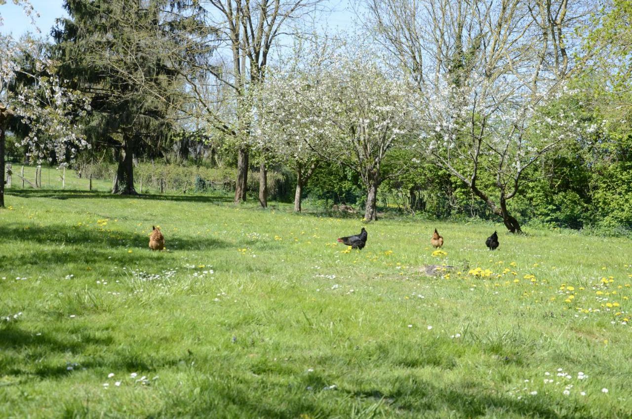 Hamac Et Potager Gite Et Chambre D'Hotes La Chapelle-de-Bragny Exterior foto
